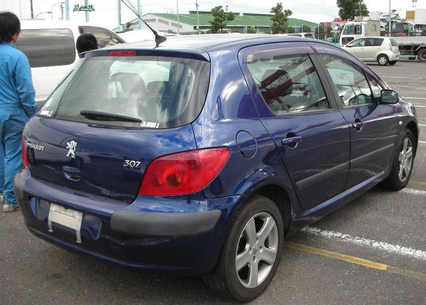  Peugeot 307 (2002-2007) :  5